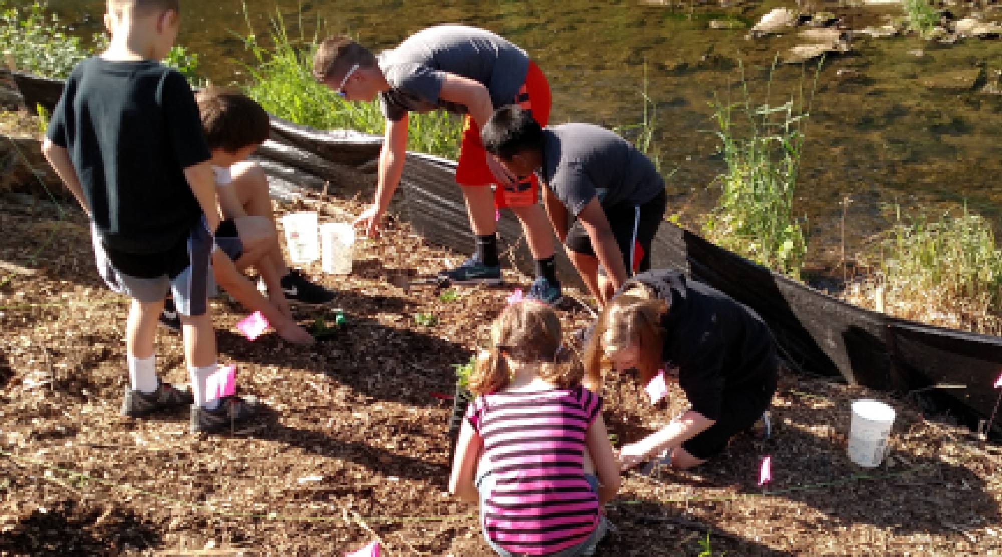 Groundswell research